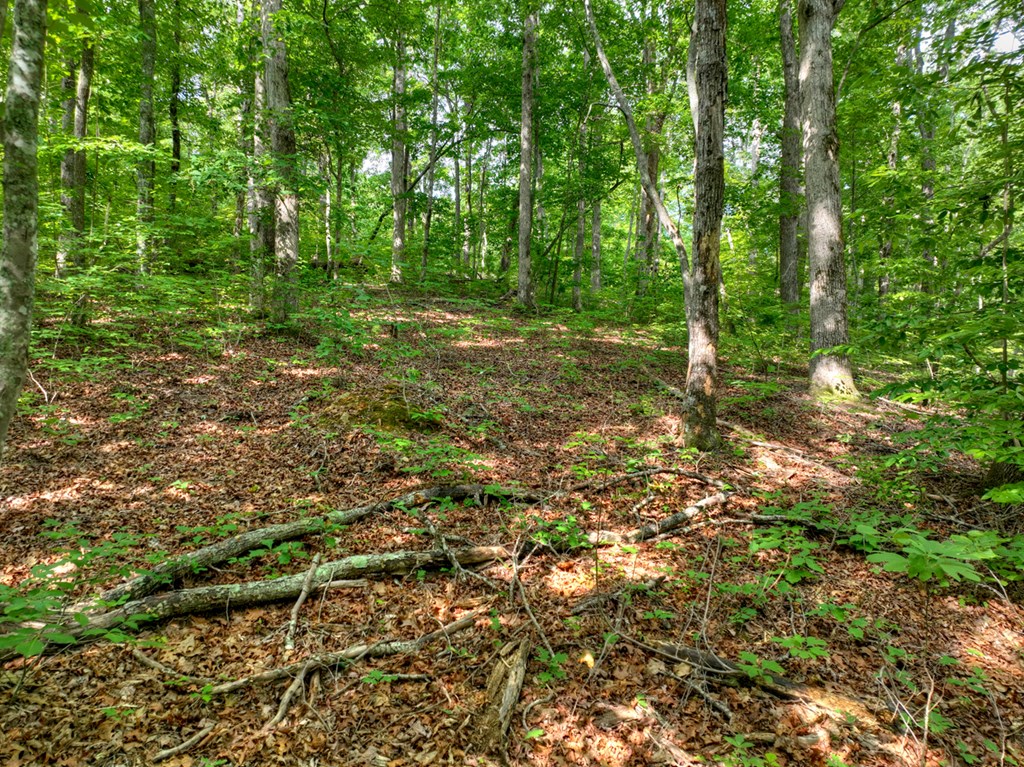 433974 Ellijay
 Land