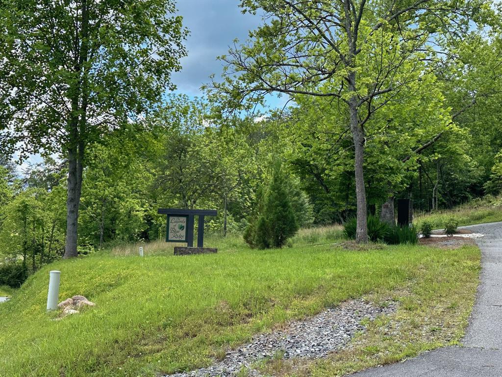 433975 Mineral Bluff
 Land