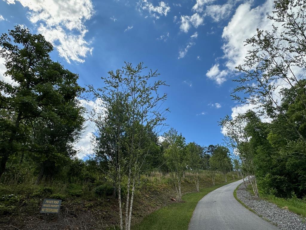 433975 Mineral Bluff
 Land