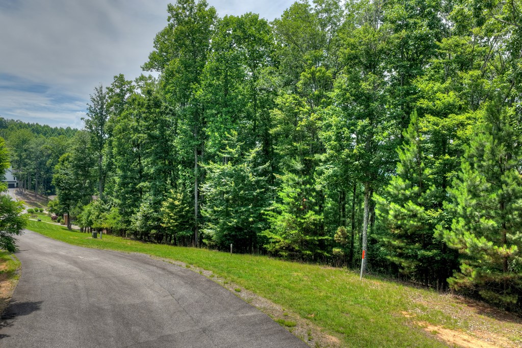 433977 Blairsville
 Land