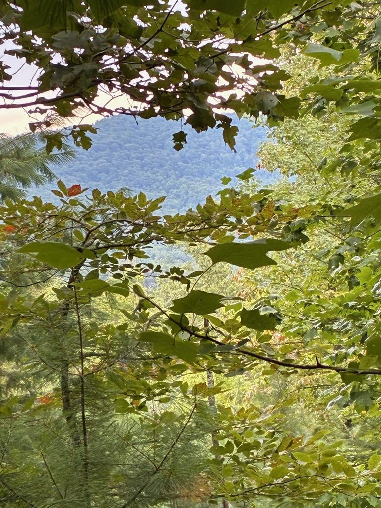 433979  Land