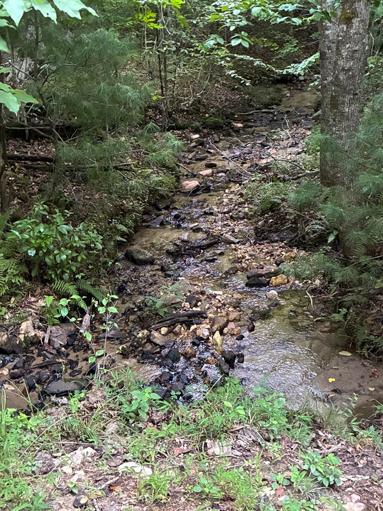 433979 Morganton
 Land