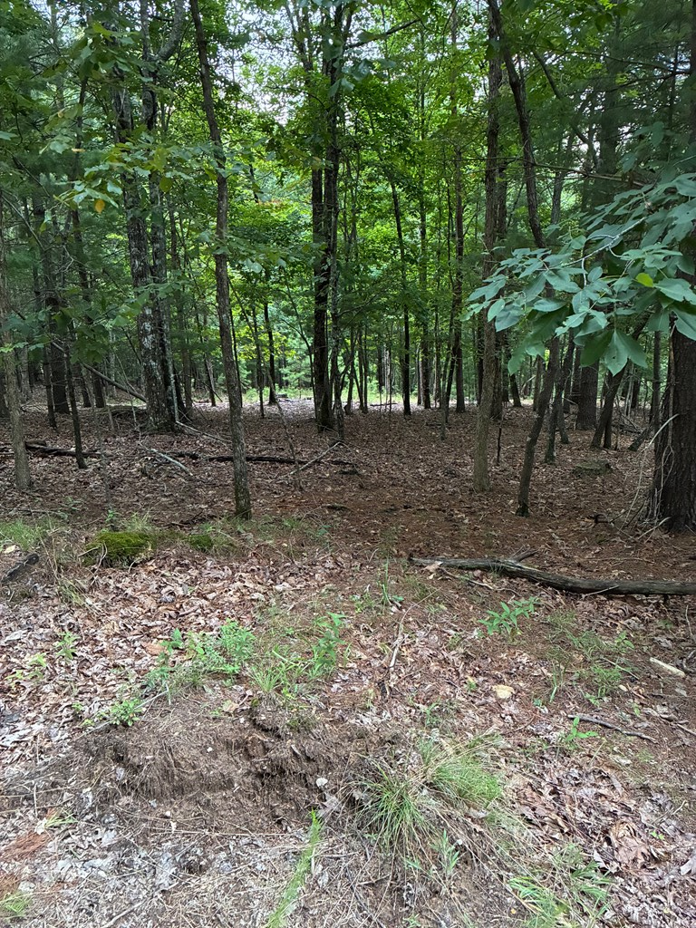 433979 Morganton
 Land