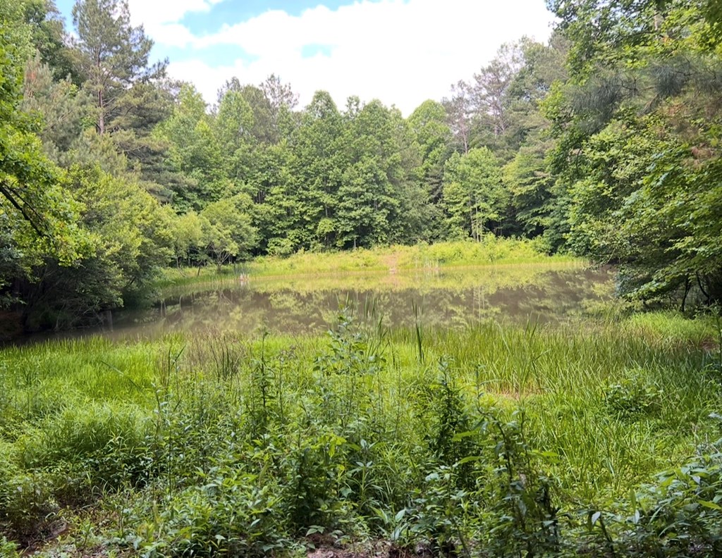 433995 Ellijay
 Land