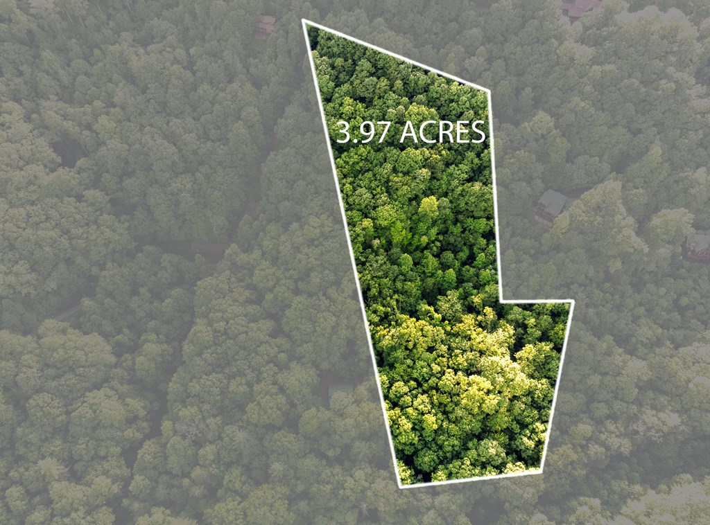 434000 Cherry Log
 Land