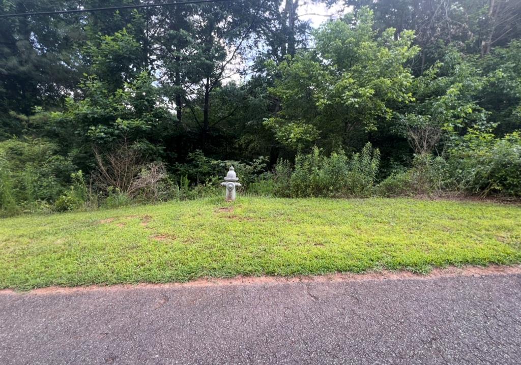 434007 Ellijay
 Land