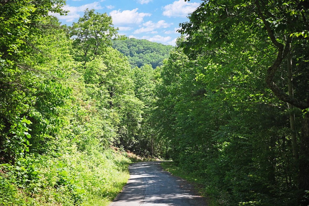 434013 Hiawassee
 Land