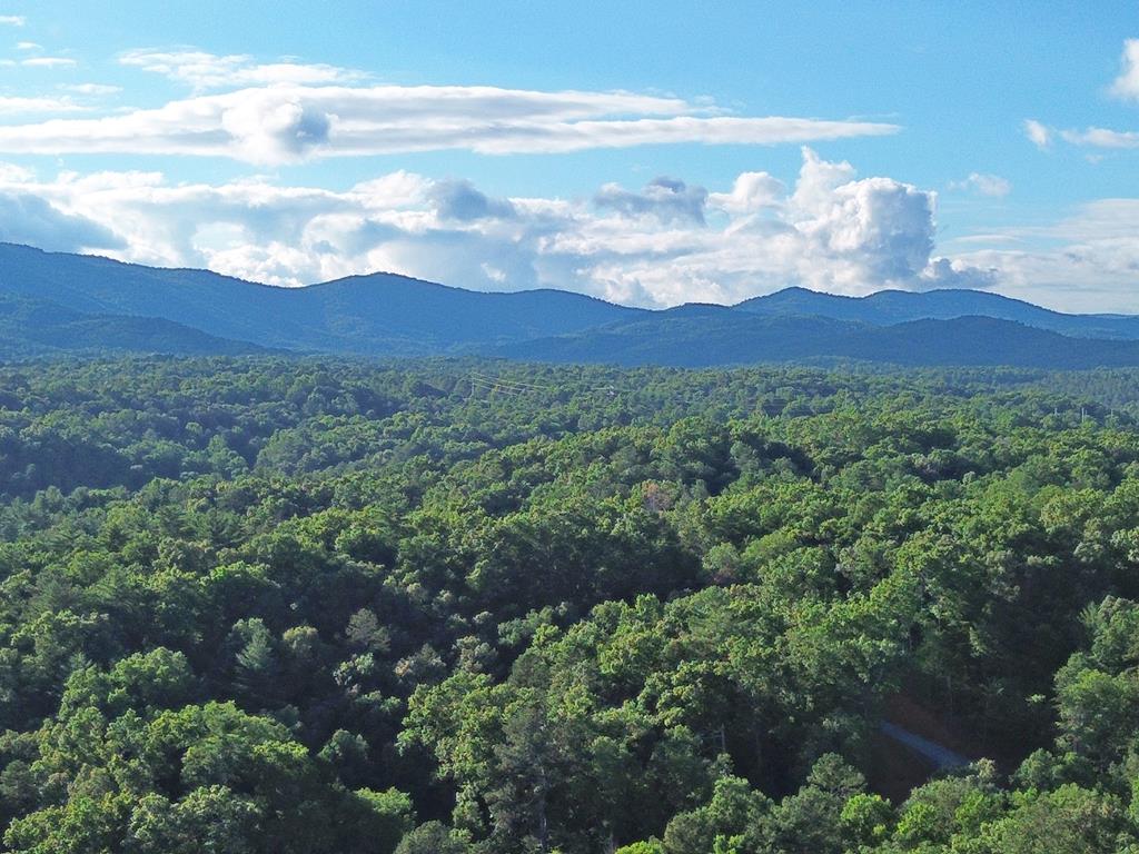434014 Ellijay
 Land