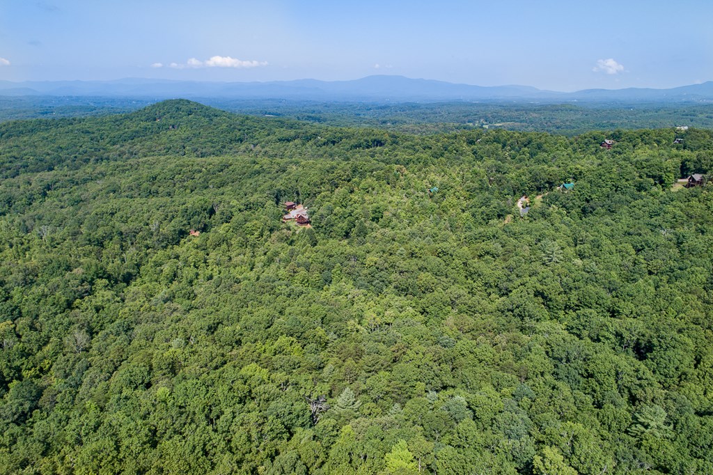 434016 Mineral Bluff
 Land