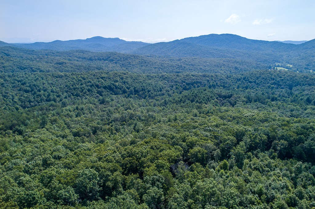 434016 Mineral Bluff
 Land