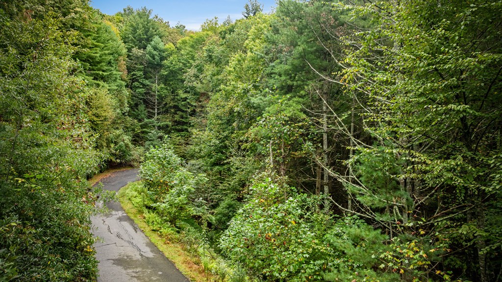434019 Blue Ridge
 Land