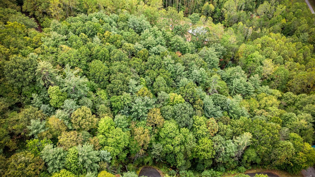 434019 Blue Ridge
 Land