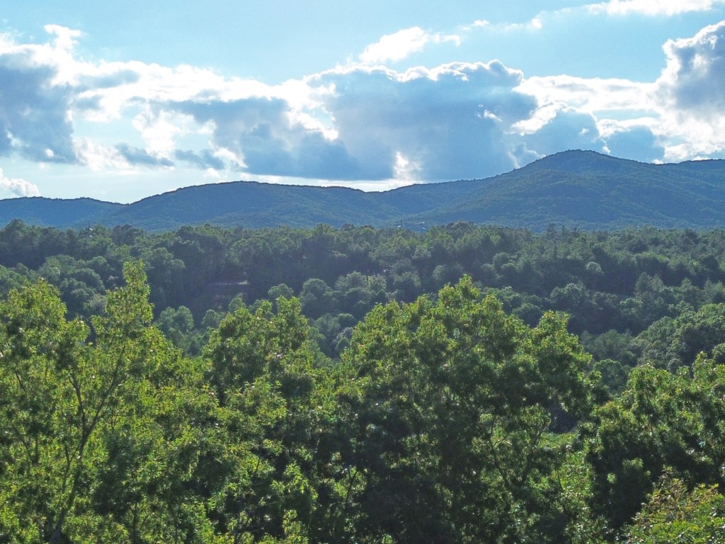434027 Ellijay
 Land