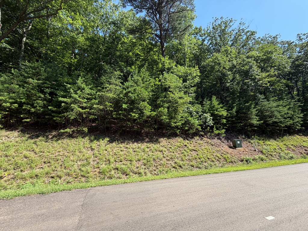 434039 Ellijay
 Land