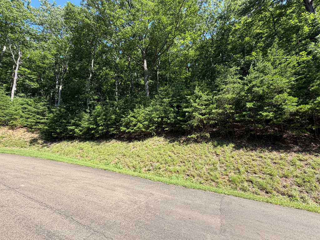 434039 Ellijay
 Land