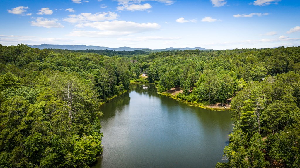 434041 Ellijay Active