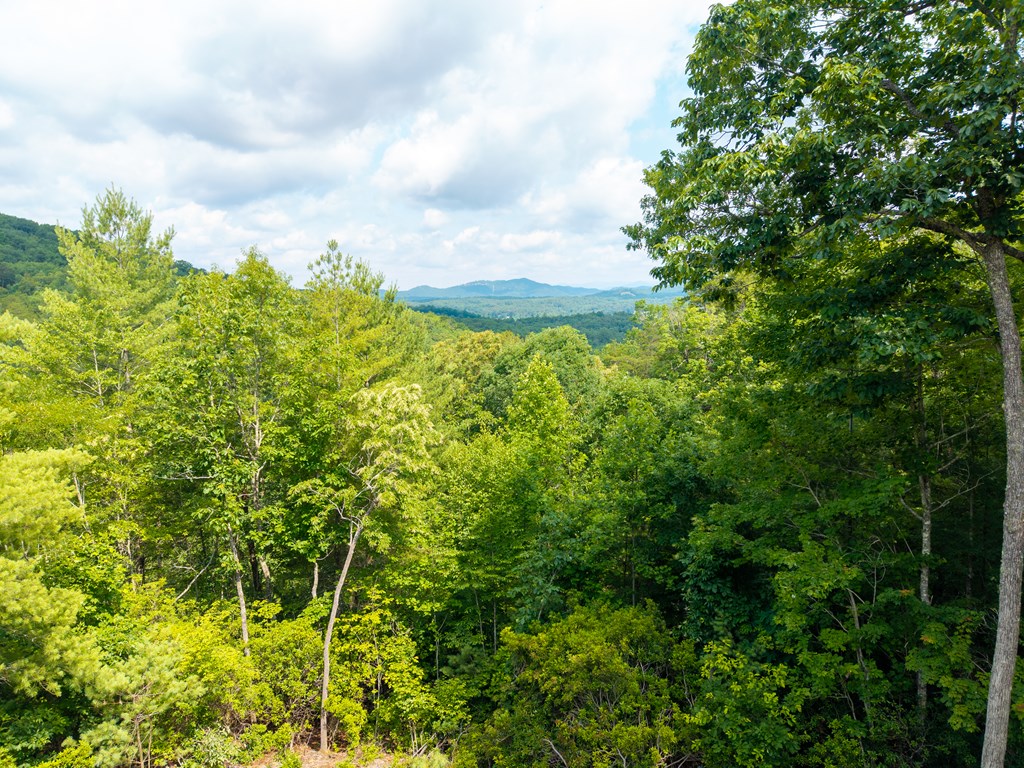 434043 Brasstown Active