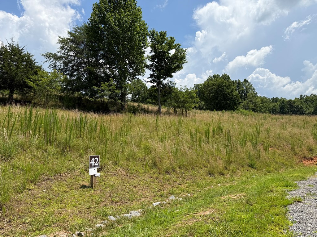 434048 Morganton
 Land