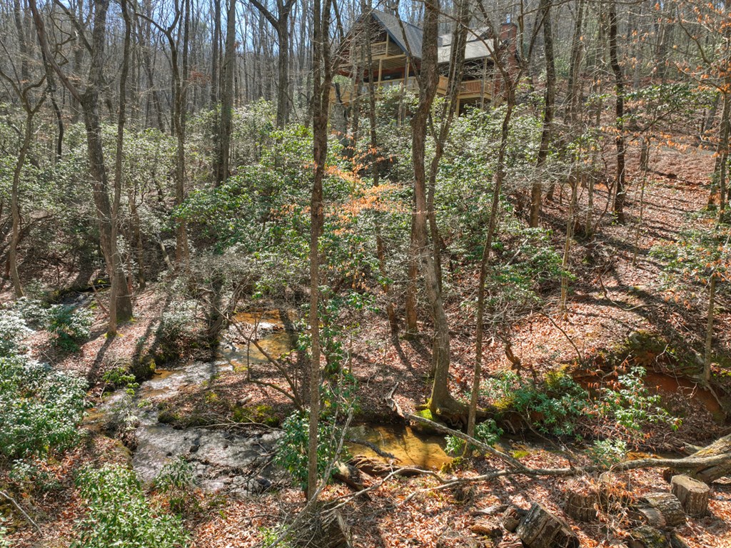 434051 Blue Ridge Active