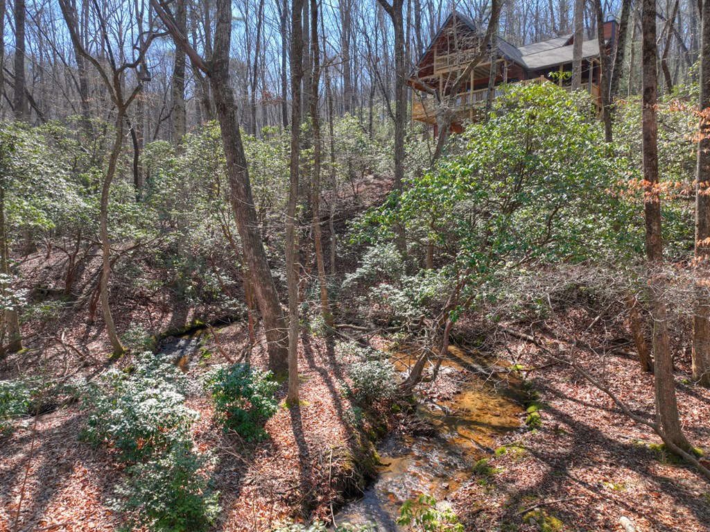 434051 Blue Ridge Active