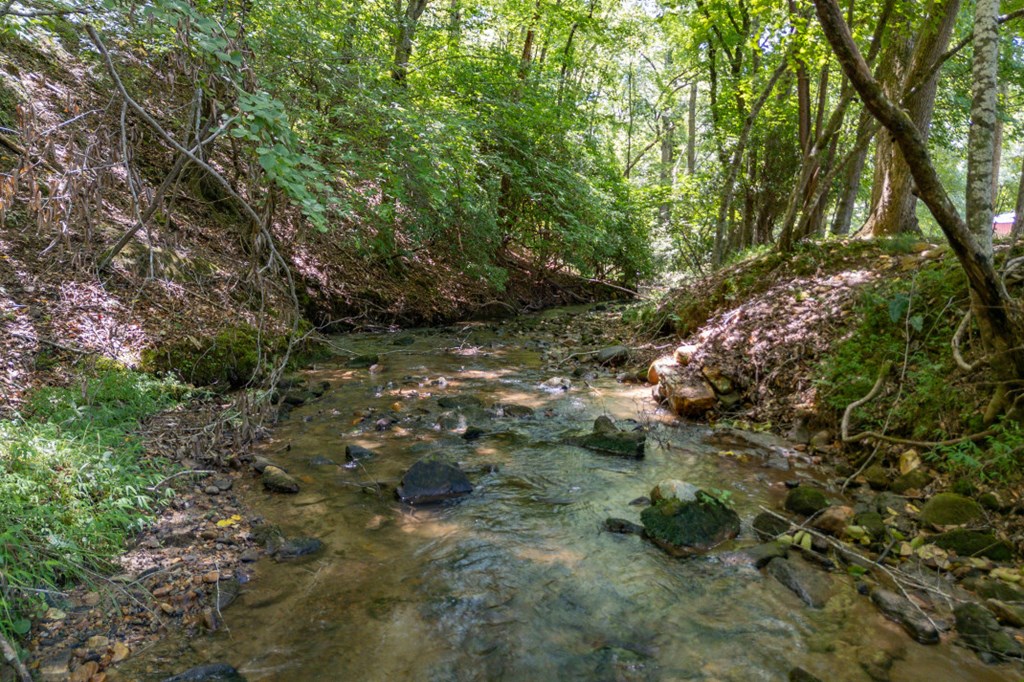 434057 Blue Ridge Active