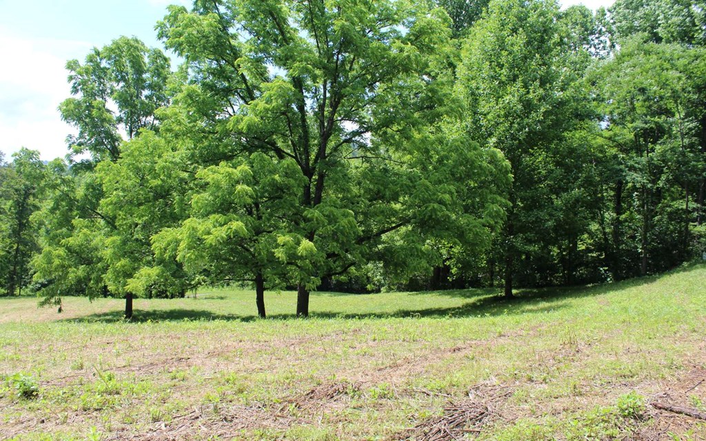434060 Hayesville
 Land