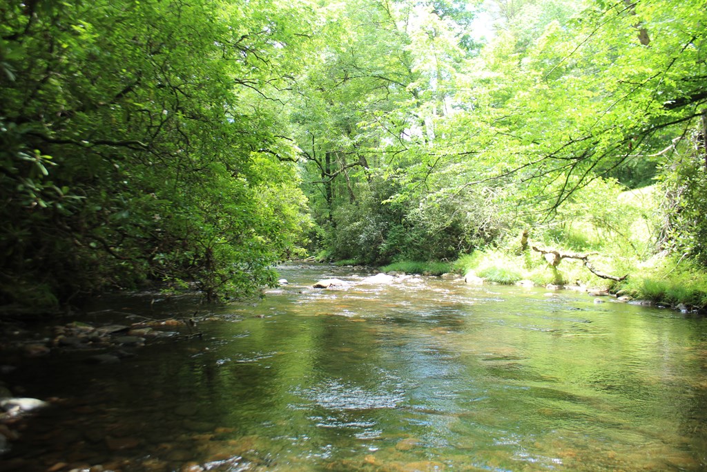 434067 Hayesville
 Land