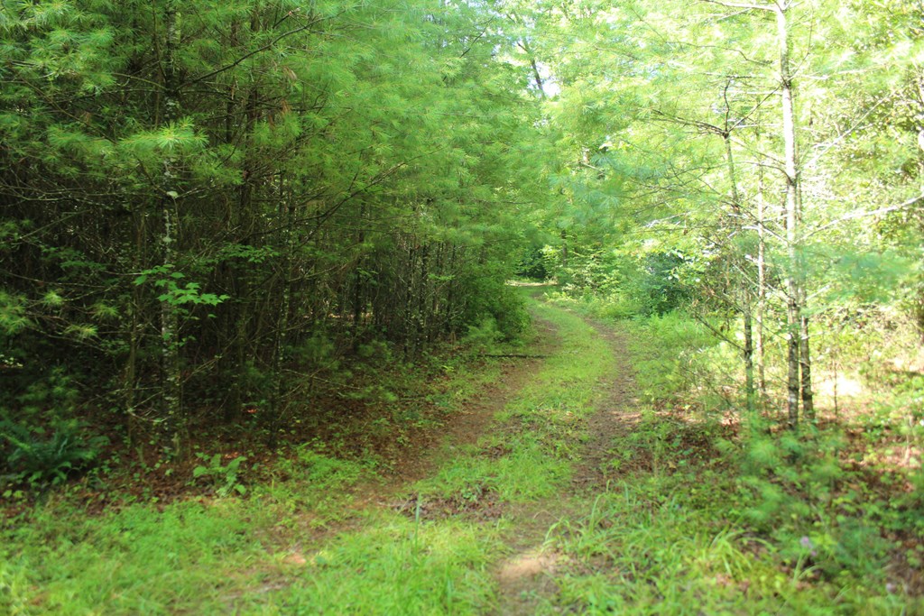 434067 Hayesville
 Land