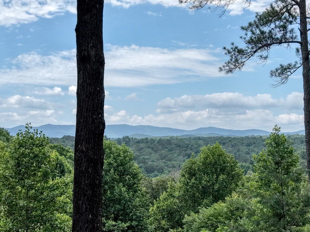 434090 Ellijay Active
