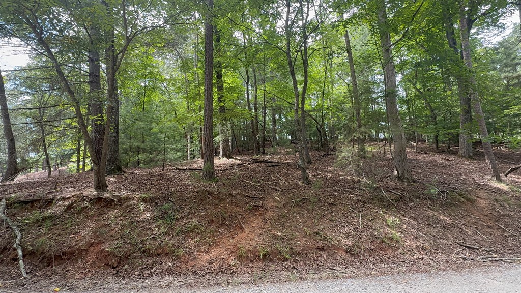 434094 Ellijay
 Land