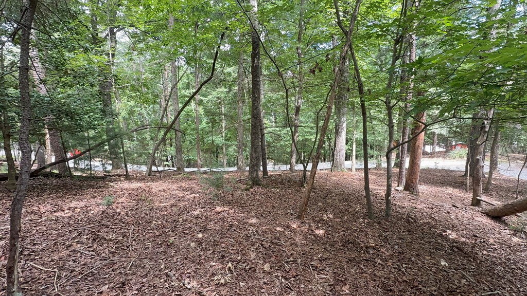 434094 Ellijay
 Land