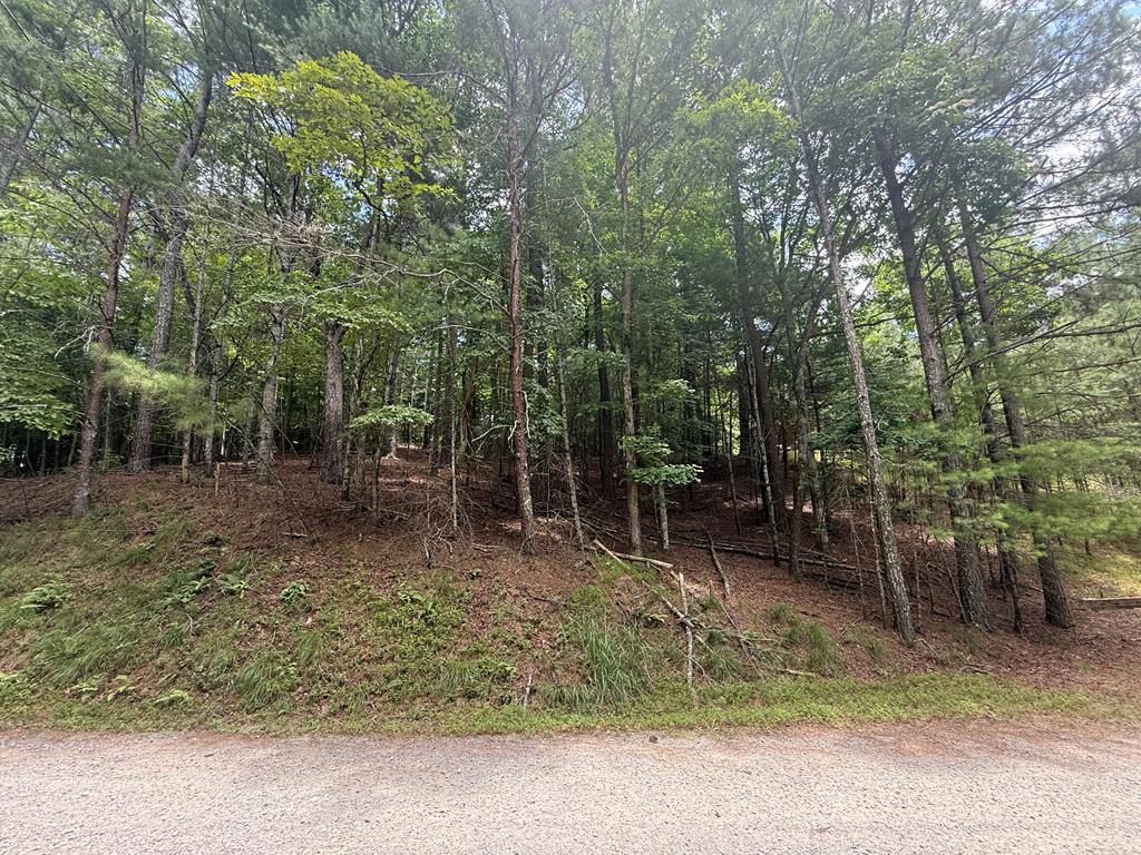 434095  Land