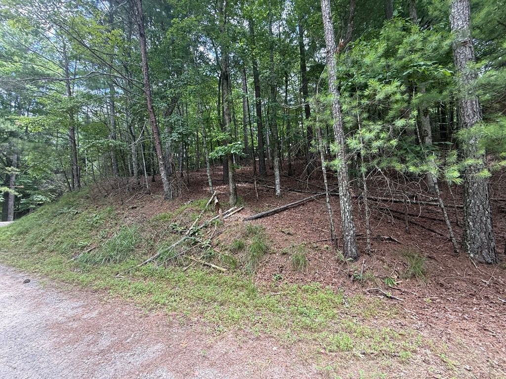 434095 Ellijay
 Land