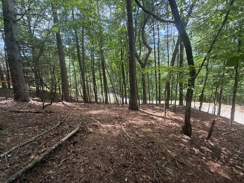 434095 Ellijay
 Land