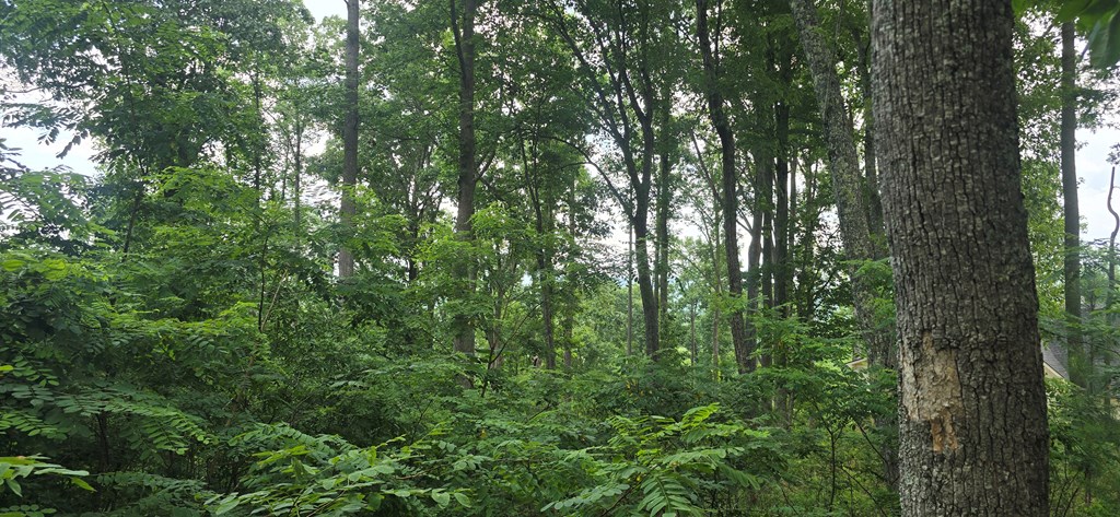 434097 Blairsville
 Land