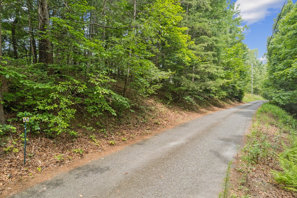 434102 Ellijay
 Land