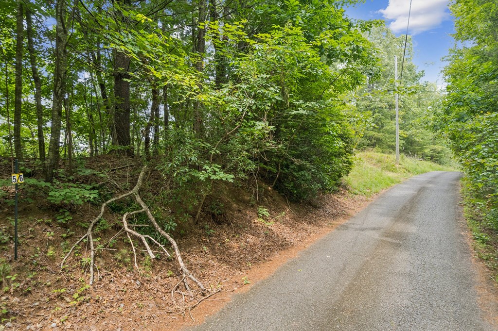 434103 Ellijay
 Land