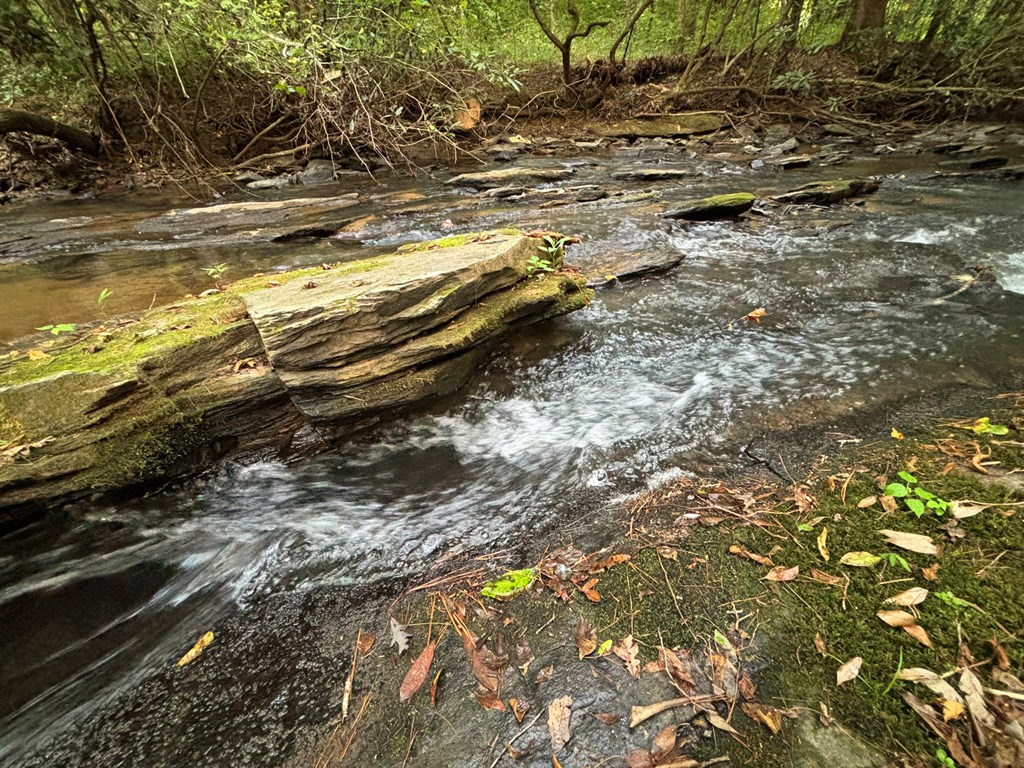 434117 Ellijay
 Land