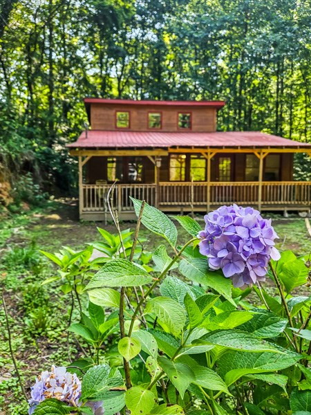 434126 Ellijay Pending