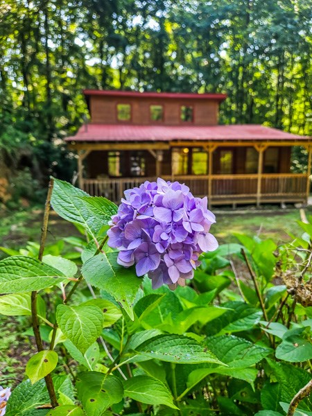 434126 Ellijay Pending