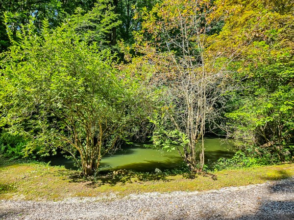 434126 Ellijay Pending