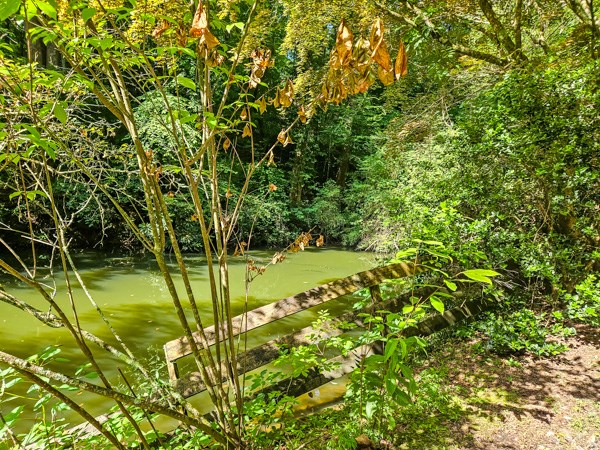 434126 Ellijay Pending