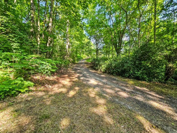 434126 Ellijay Pending