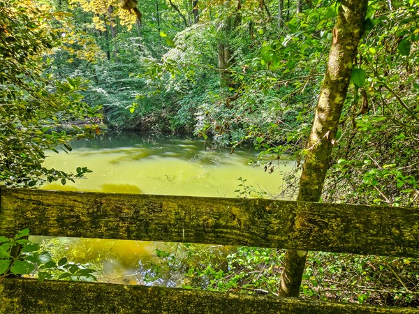 434126 Ellijay Pending