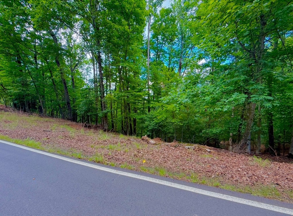 434127 Ellijay
 Land