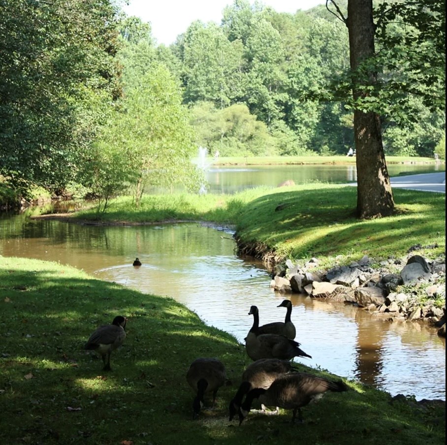 434127 Ellijay
 Land