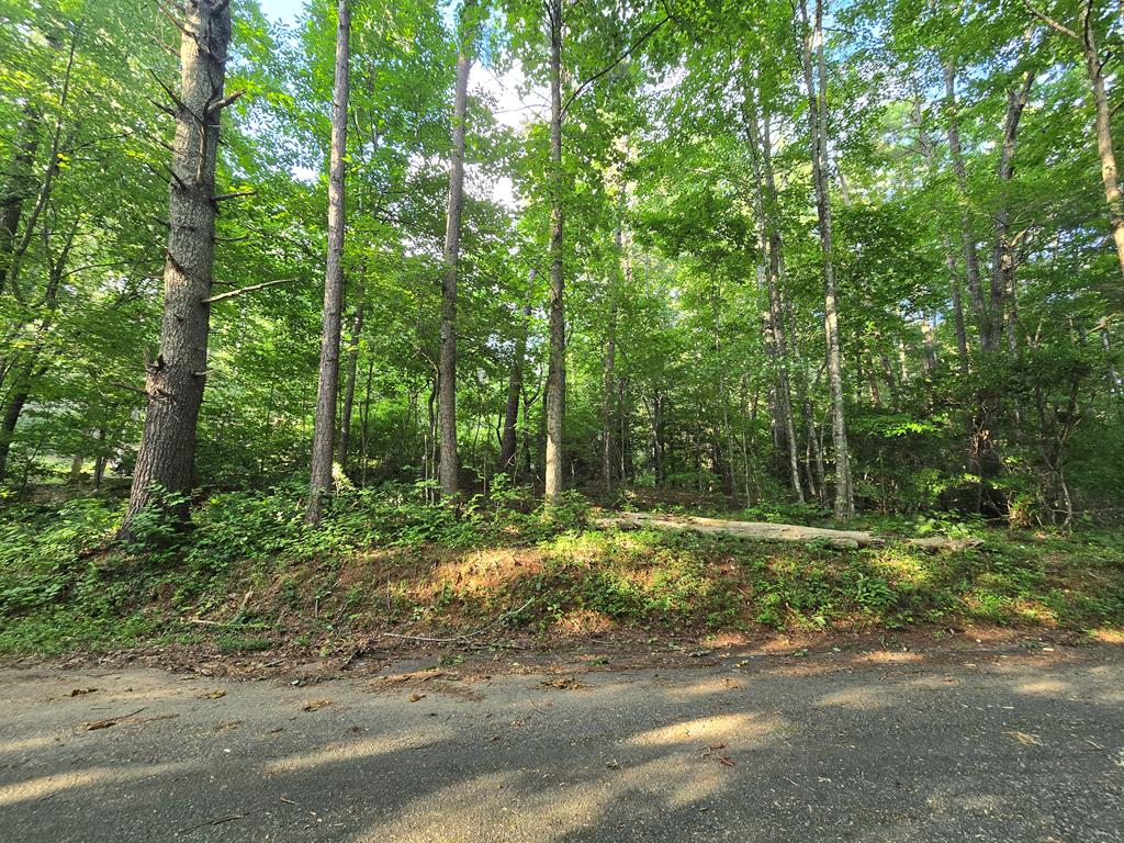 434137  Land