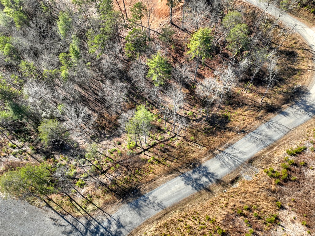 434141 Mineral Bluff
 Land