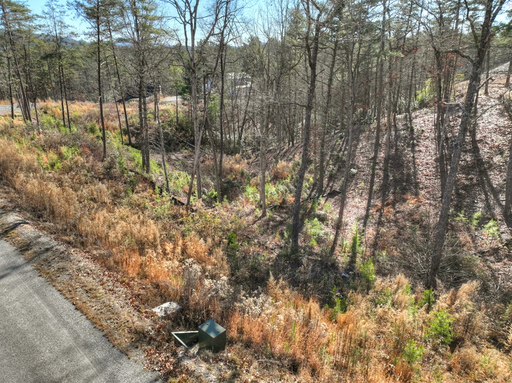 434141 Mineral Bluff
 Land