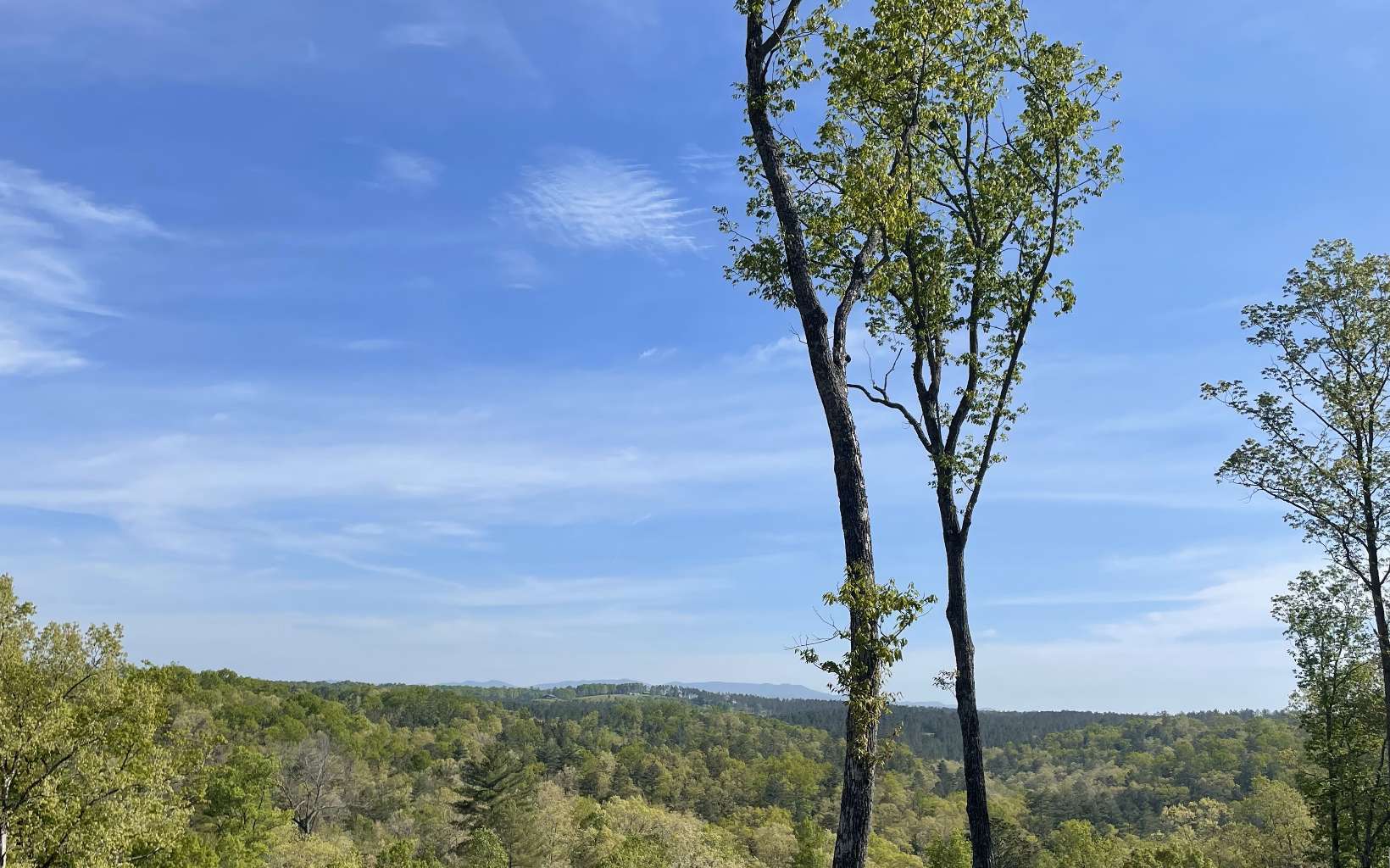 434154 Ellijay
 Land